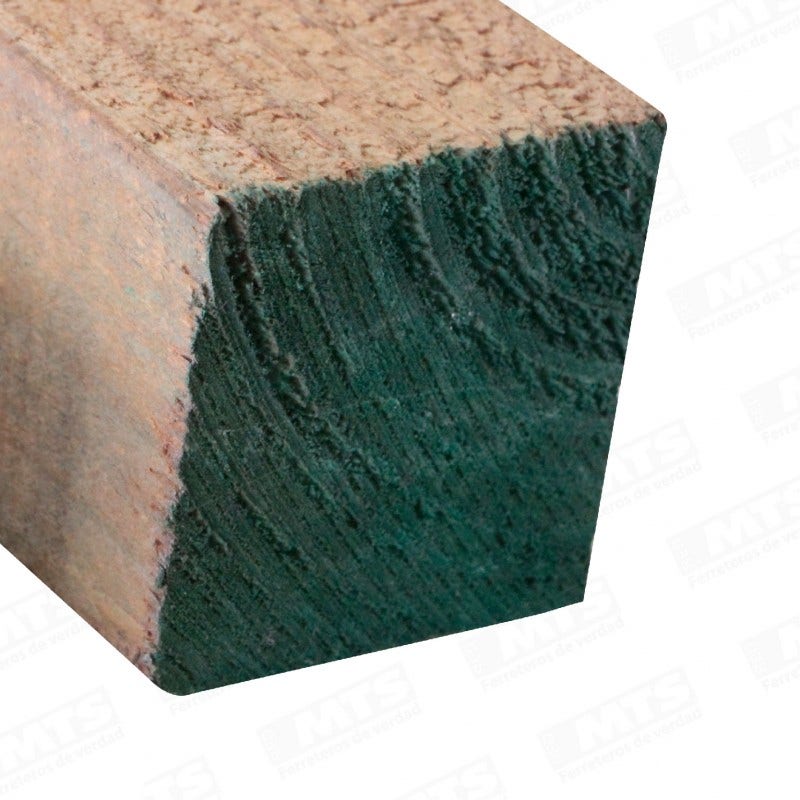 Pino Bruto Verde 4 X 4 X 3.20 Mt