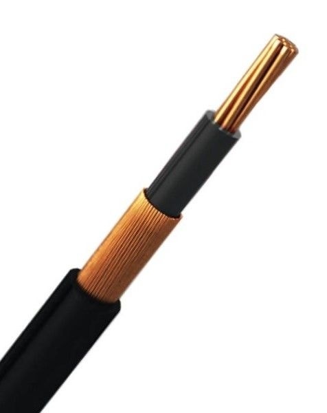 ALAMBRE CONCENTRICO 2X6MM