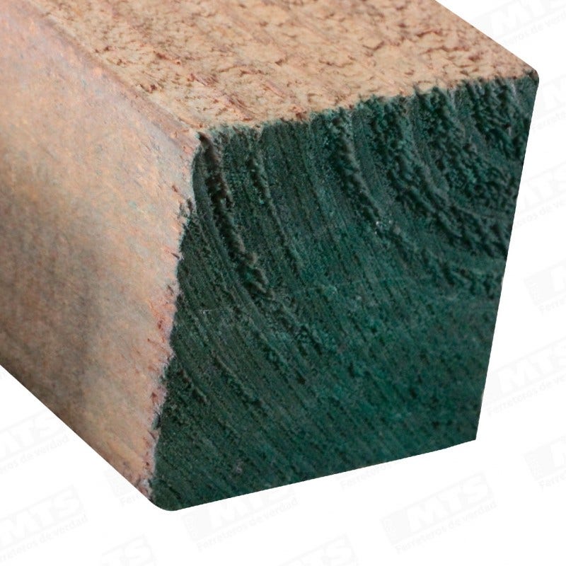 Pino Bruto Verde 4 X 4 X 3.20 Mt